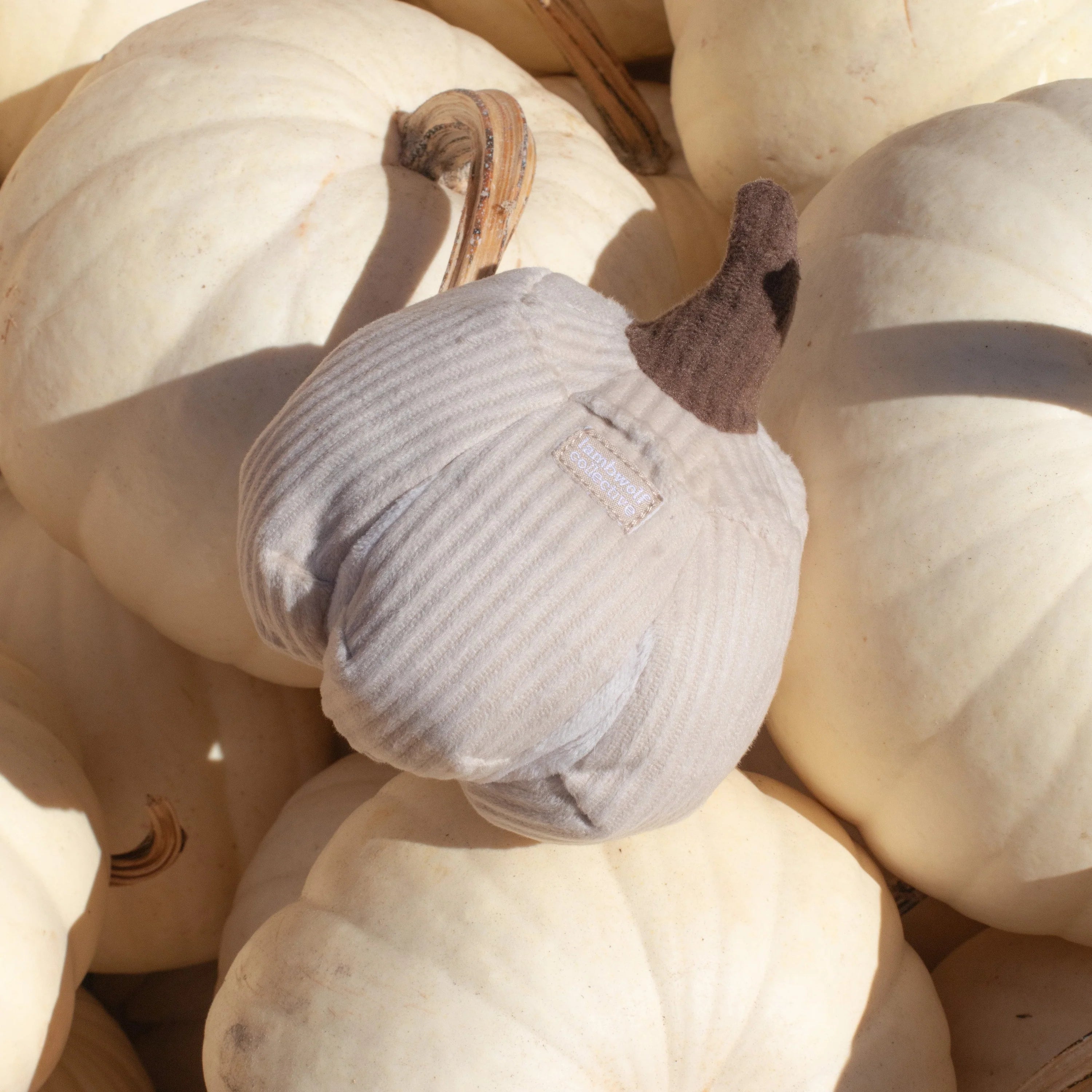 BOO Sniffer Pumpkin